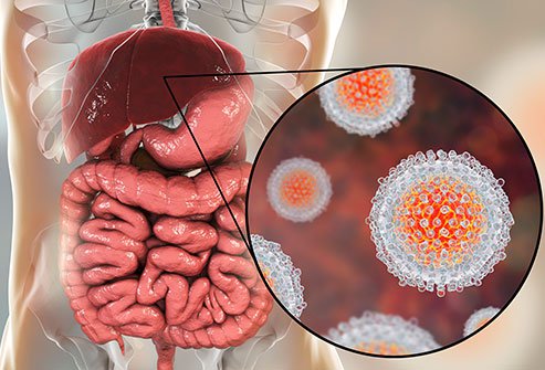 hepatitis-what-puts-you-at-risk-s1-what-is-hepatitis